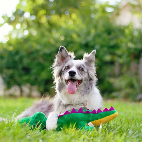 Zippy Paws Dog Toys Plush Grunterz - Alvin the Alligator