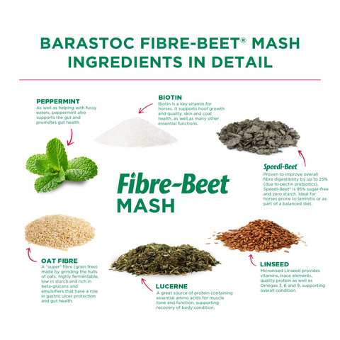 Fibre Beet Mash Conditioning Horse Feed