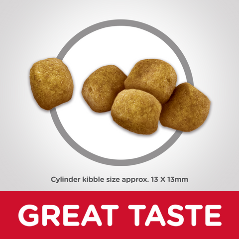 Oral Care Adult Dry Cat Food