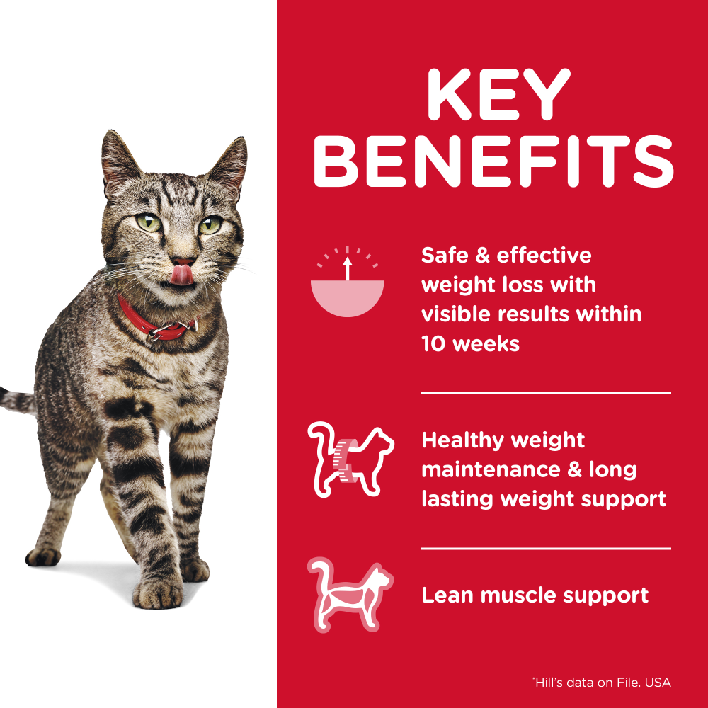 Adult Perfect Weight Dry Cat Food