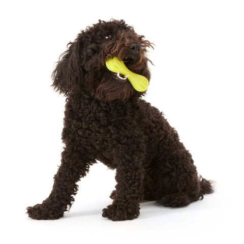West Paw Hurley Fetch Dog Toys