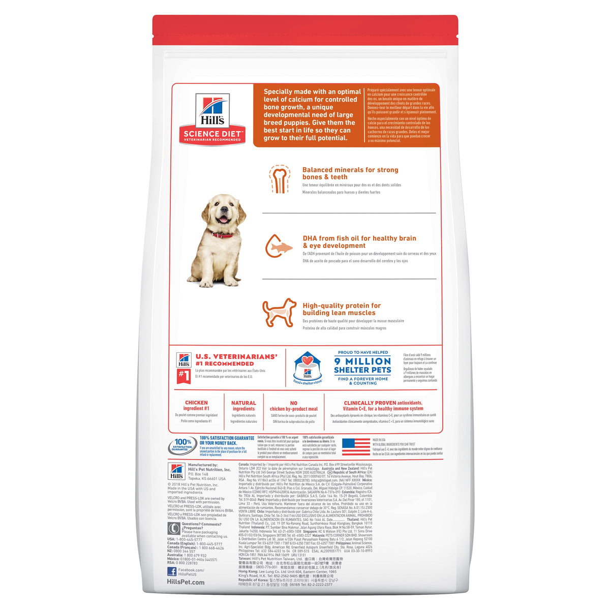 Hill's Science Diet Dry Dog Food Large Breed Puppy