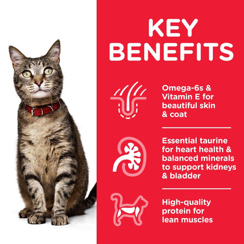 Hills Science Diet Adult Optimal Care Beef Cat Food Pouch 85g