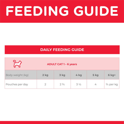 Hills Science Diet Adult Optimal Care Beef Cat Food Pouch 85g