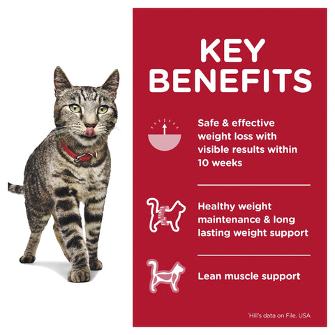 Hills Science Diet Adult Perfect Weight Salmon Cat Food Pouches 85g