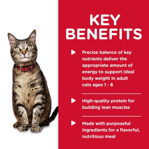 Hills Science Diet Adult Tender Dinners Tuna Canned Cat Food 156g