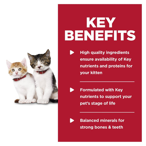 Hills Science Diet Kitten Tender Dinners Chicken Canned Cat Food 156g