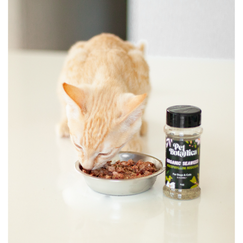Organic Seaweed Dental Meal Booster For Dogs & Cats