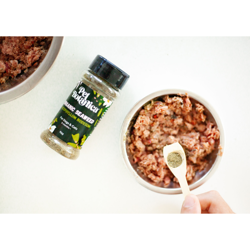 Organic Seaweed Dental Meal Booster For Dogs & Cats