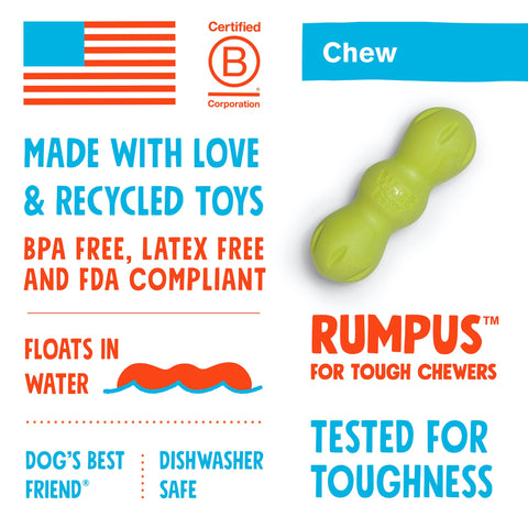 West Paw Rumpus Tough Fetch Stick Dog Toys