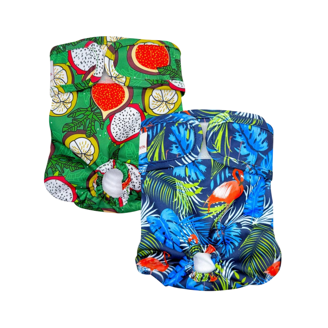 Washable Dog Nappies Blue Green 2 Pack