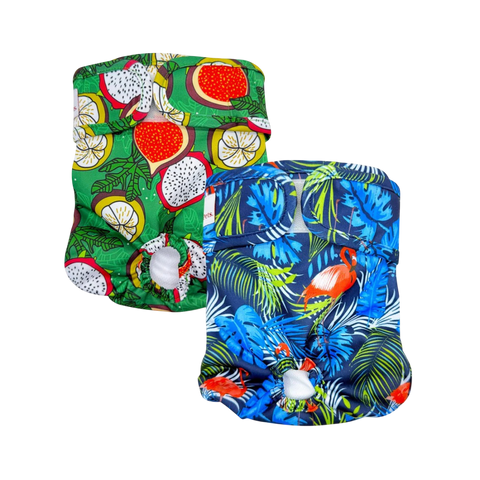 Washable Dog Nappies Blue Green 2 Pack