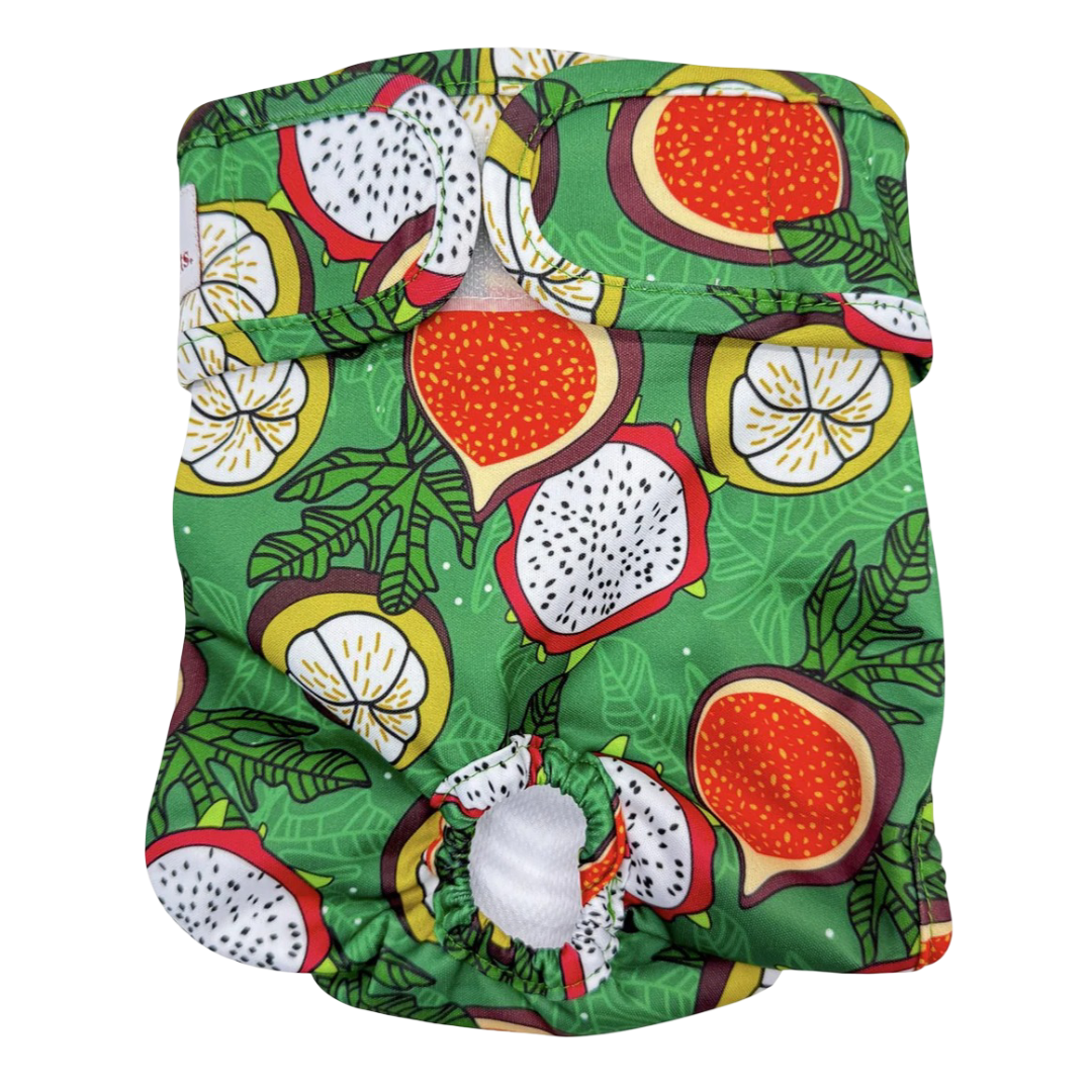 Washable Dog Nappies Blue Green 2 Pack