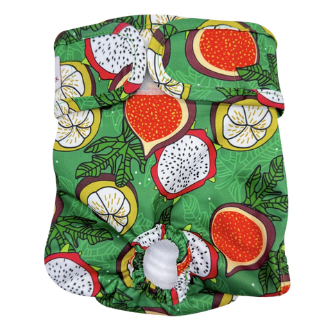 Washable Dog Nappies Blue Green 2 Pack