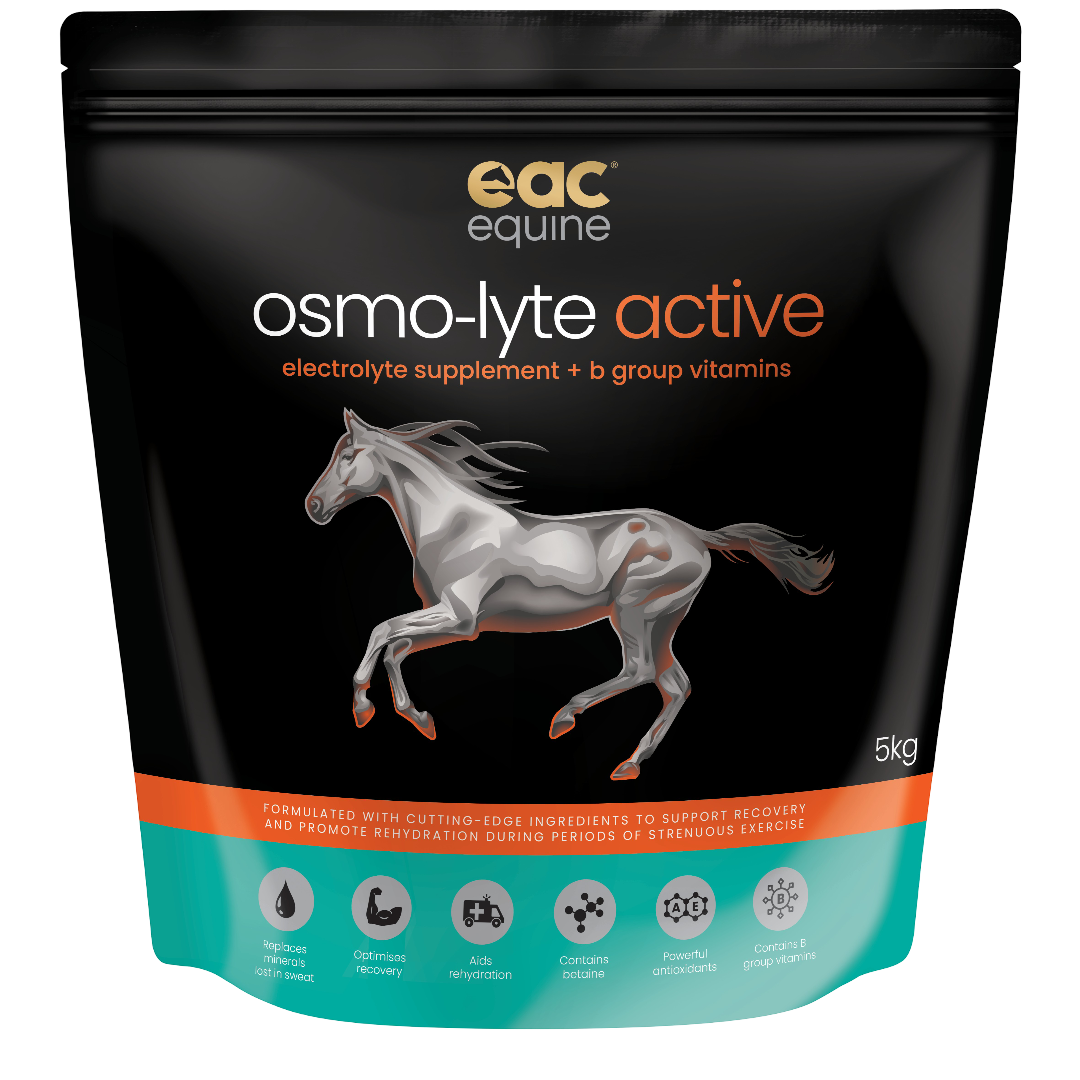 Osmo-Lyte Active Electrolyte & B Vitamin Horse Supplement