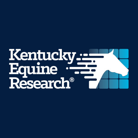 Nano E Liquid Vitamin E Supplement for Horses