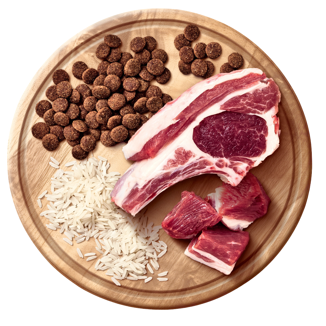 All Breeds Adult Dry Dog Food Lamb And Rice