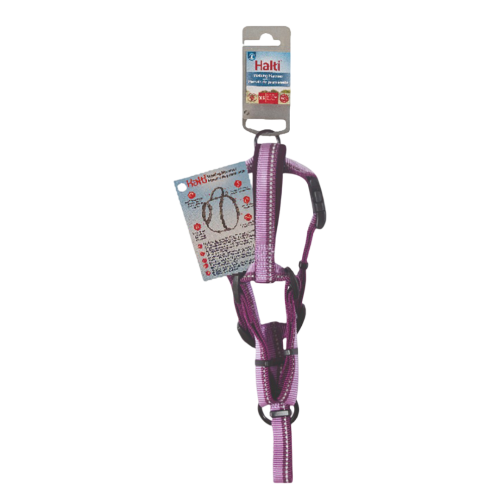 Walking Dog Harness in Purple