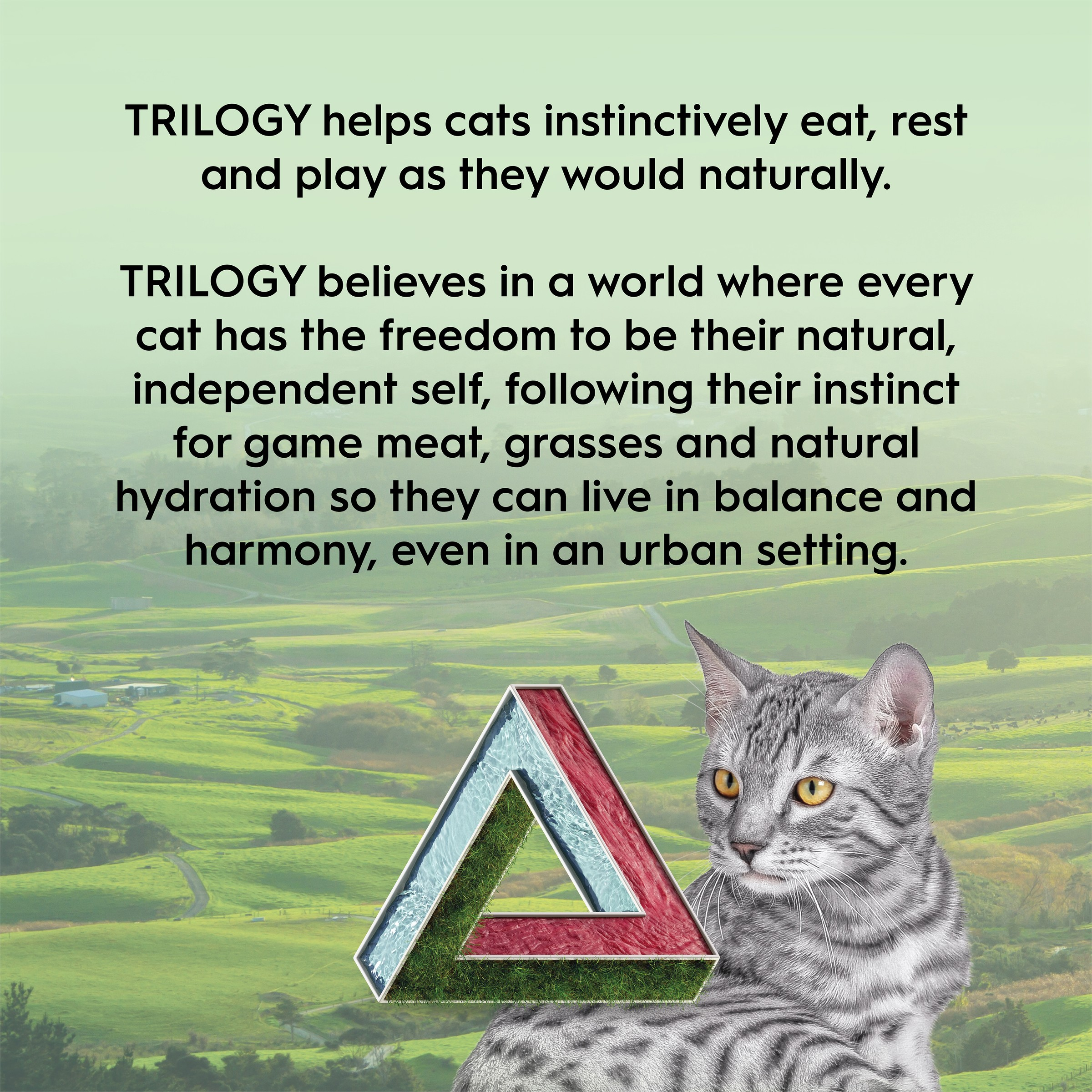 Trilogy Freeze Dried Lamb Cat Treats