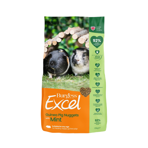 Excel Guinea Pig Nuggets Mint