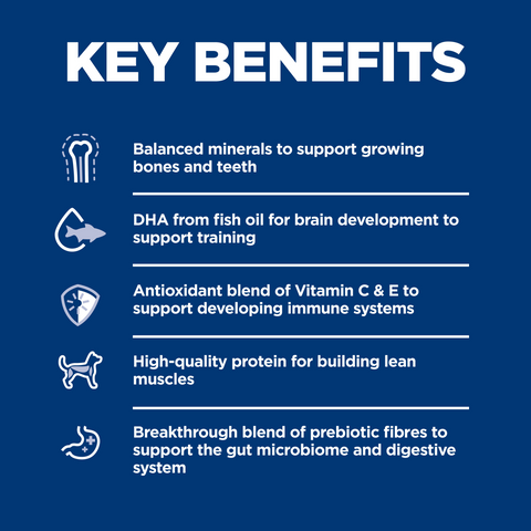 Chicken Small & Mini Puppy Dry Dog Food