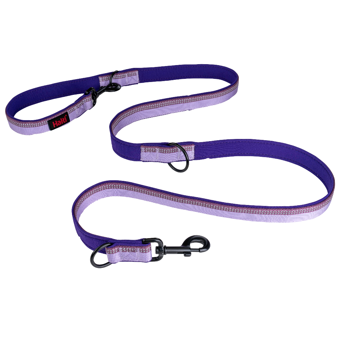 Double Ended Dog Lead in Purple