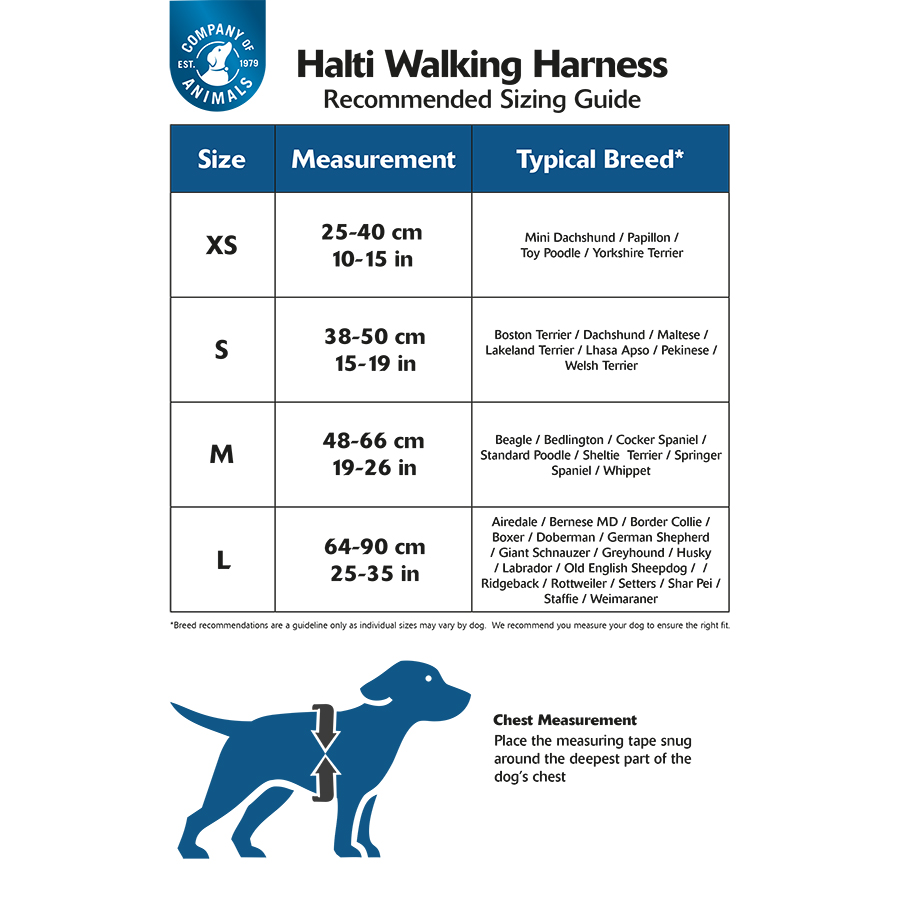 Walking Dog Harness in Purple