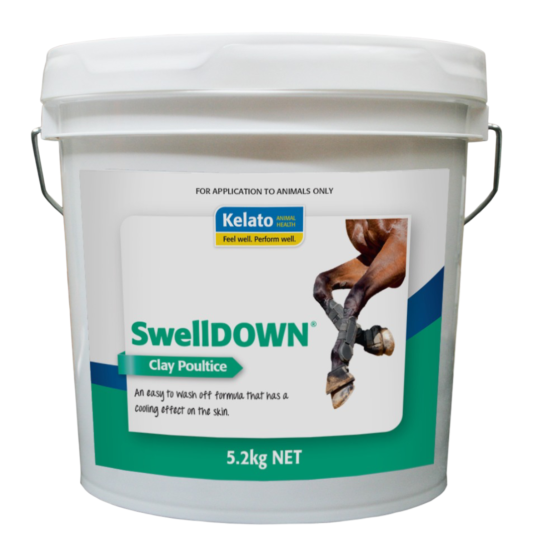 Swelldown Clay Poultice Horse Soreness And Swelling First Aid