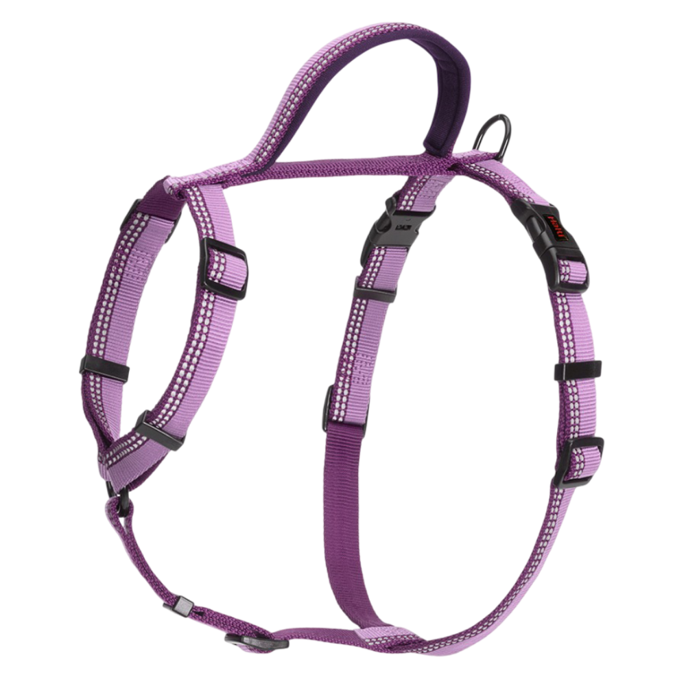 Walking Dog Harness in Purple