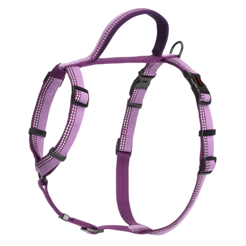 Walking Dog Harness in Purple