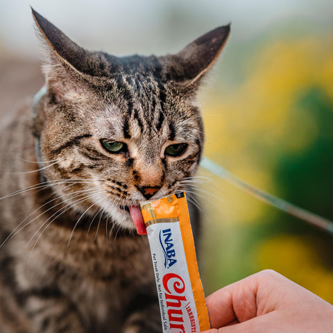 Inaba Churu Puree Tuna Variety Pack Cat Treats 10 Pack