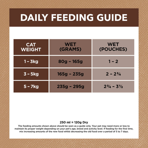 Ivory Coat Grain Free Chicken and Kangaroo in Gravy Adult Cat Wet Food 85g