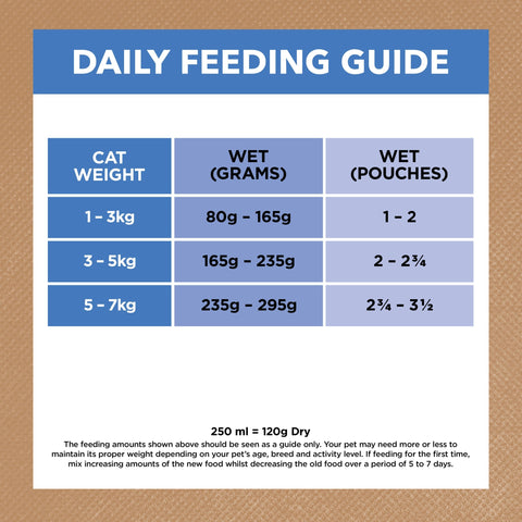 Ivory Coat Grain Free Chicken and Ocean Fish in Jelly Adult Cat Wet Food 85g