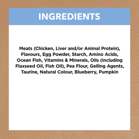 Ivory Coat Grain Free Chicken and Ocean Fish in Jelly Kitten Wet Food 85g