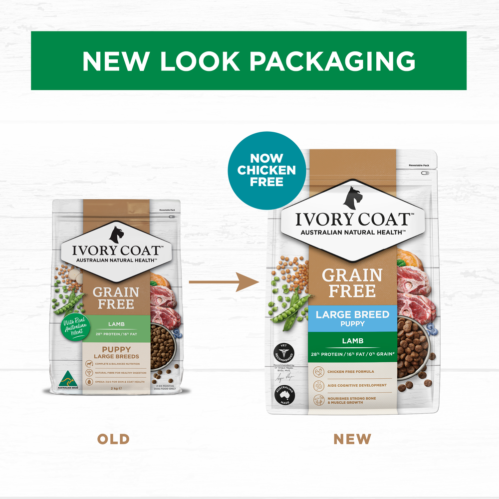 Lamb Large Breed Grain Free Puppy Dry Dog Food