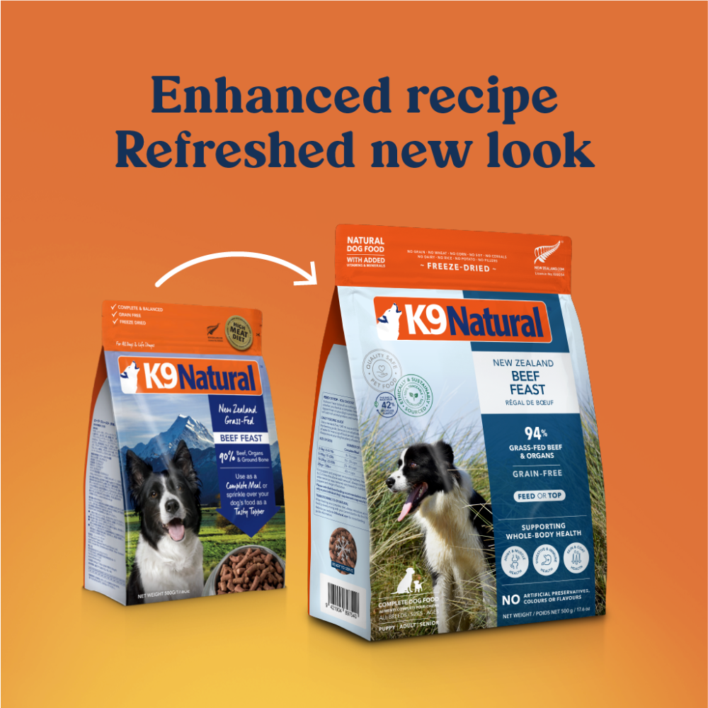 Freeze Dried Raw Beef Feast All Lifestage Dry Dog Food