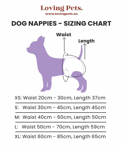 Washable Dog Nappies Pink Purple 2 Pack