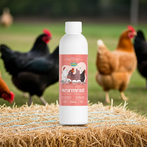 Laying Hen Wormout Solution