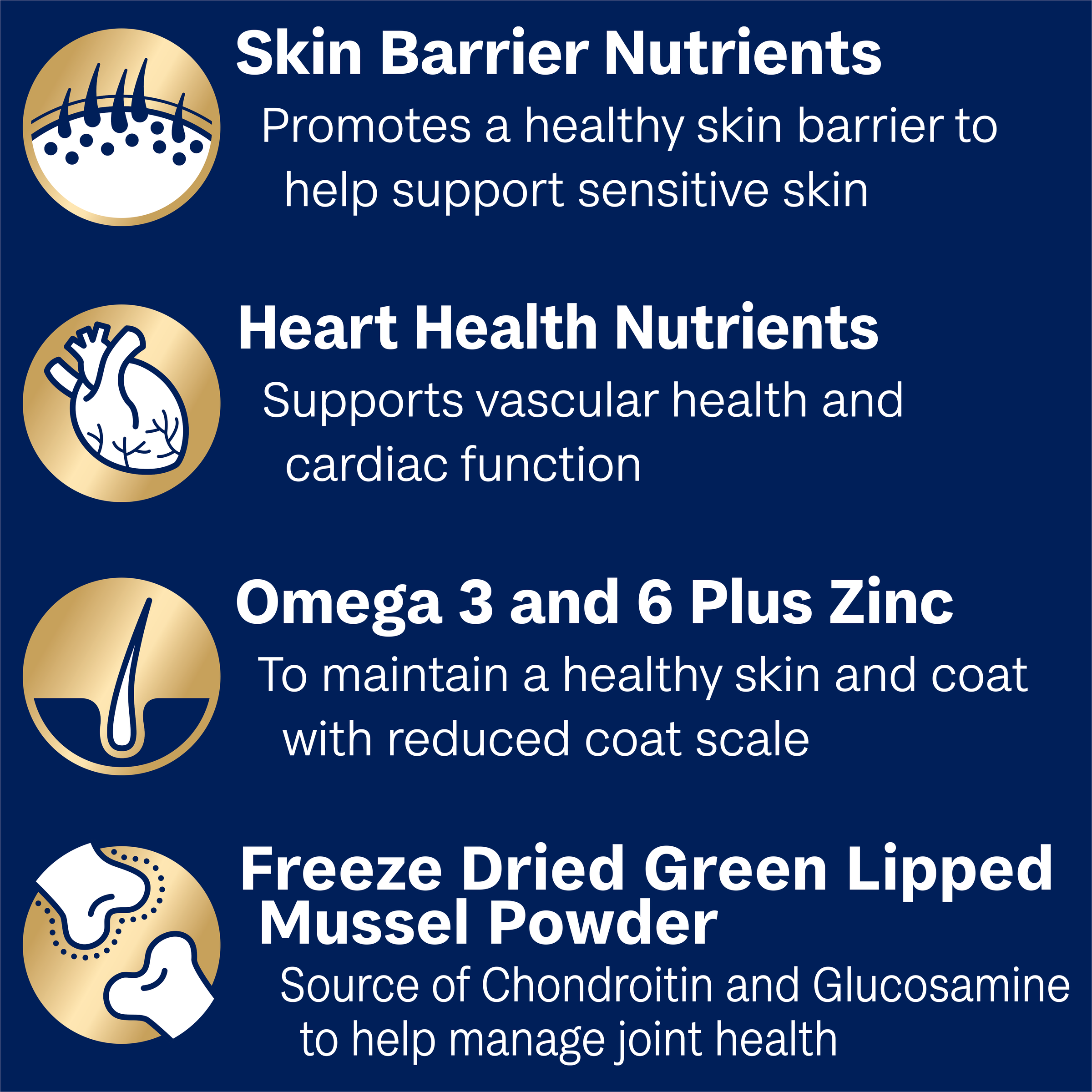 Turkey With Rice Large Oodles Dry Dog Food