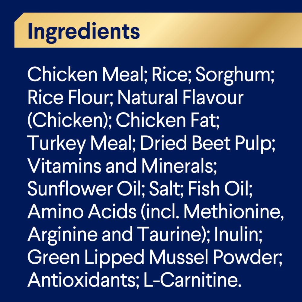 Retrievers Adult Dry Dog Food Chicken With Rice