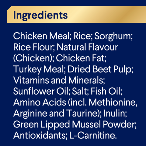 Retrievers Adult Dry Dog Food Chicken With Rice