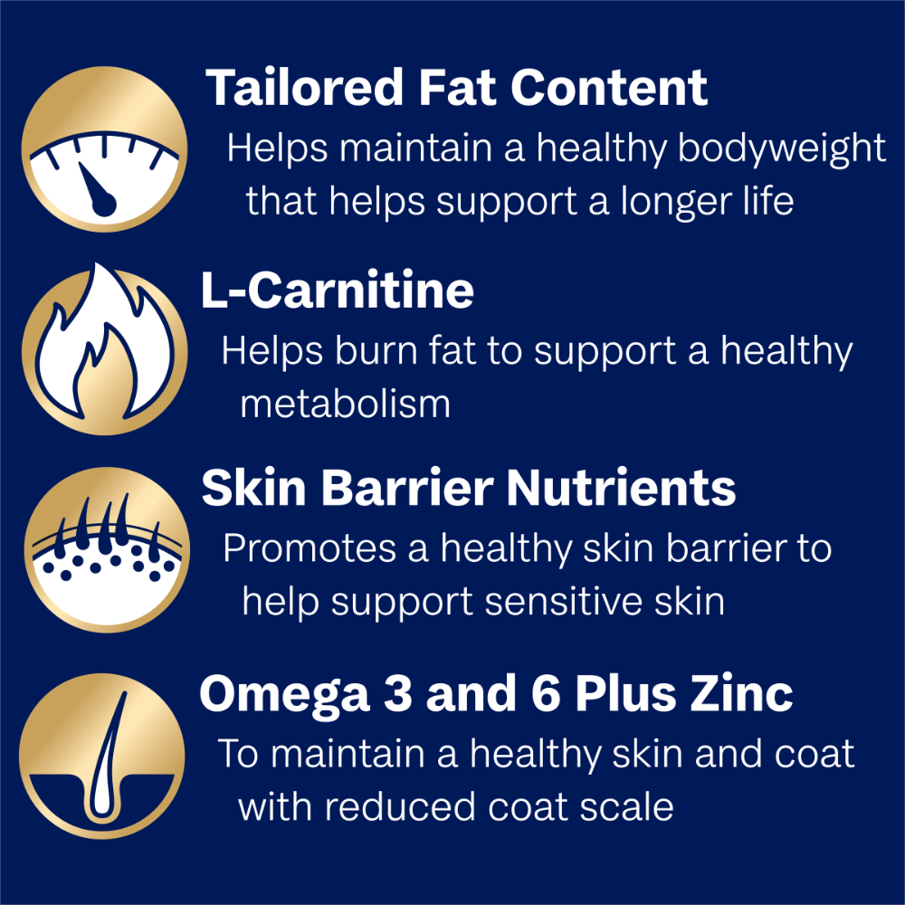 Retrievers Adult Dry Dog Food Chicken With Rice