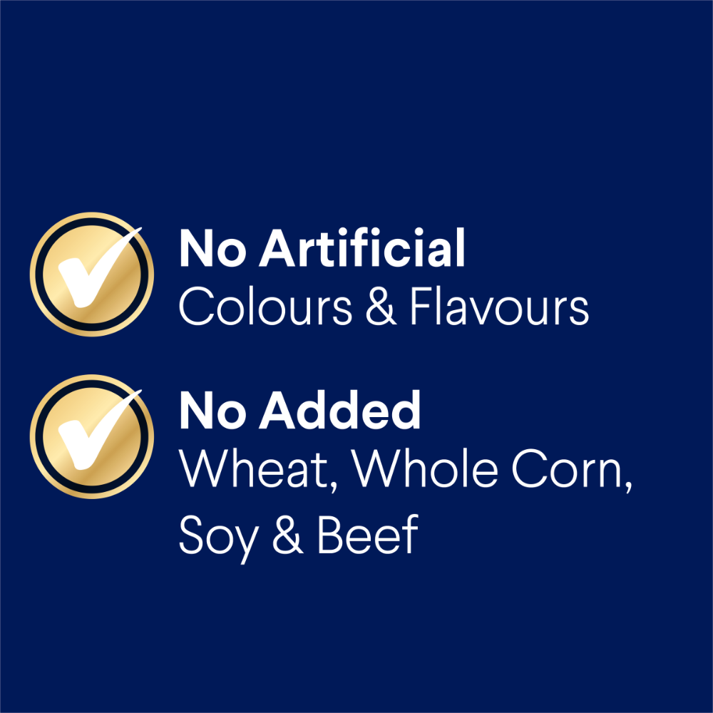 Retrievers Adult Dry Dog Food Chicken With Rice