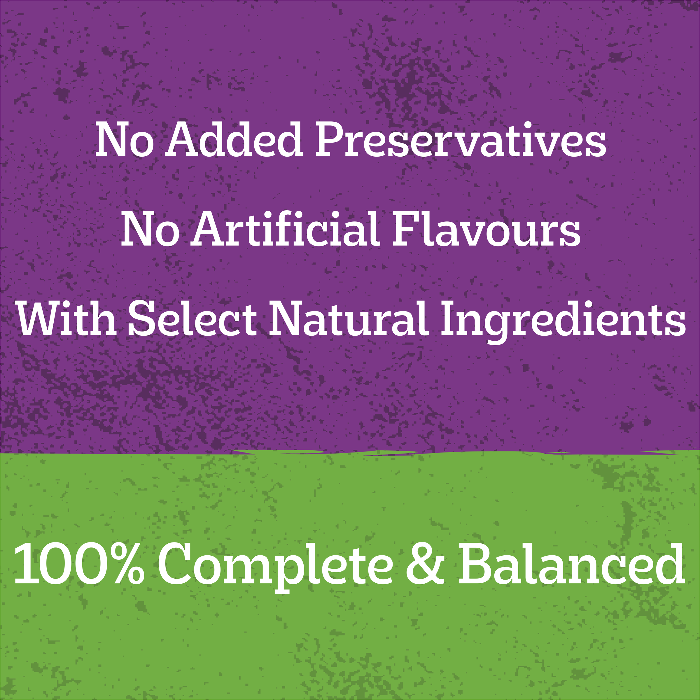 Adult Wet Dog Food Chicken Rice Vegies Casserole