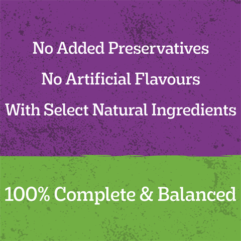 Adult Wet Dog Food Chicken Rice Vegies Casserole