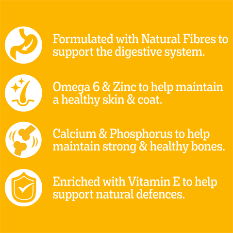 Adult Wet Dog Food Chicken Rice Vegies Casserole