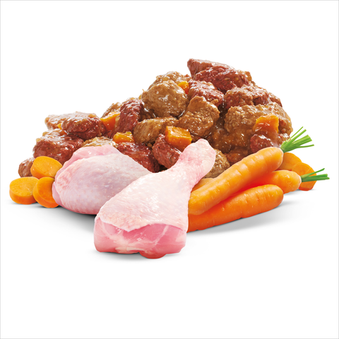 Adult Wet Dog Food Chicken Rice Vegies Casserole