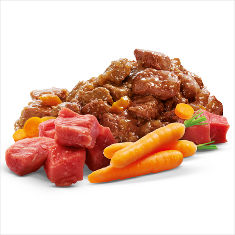 Adult Wet Dog Food Beef Vegies Gravy Casserole