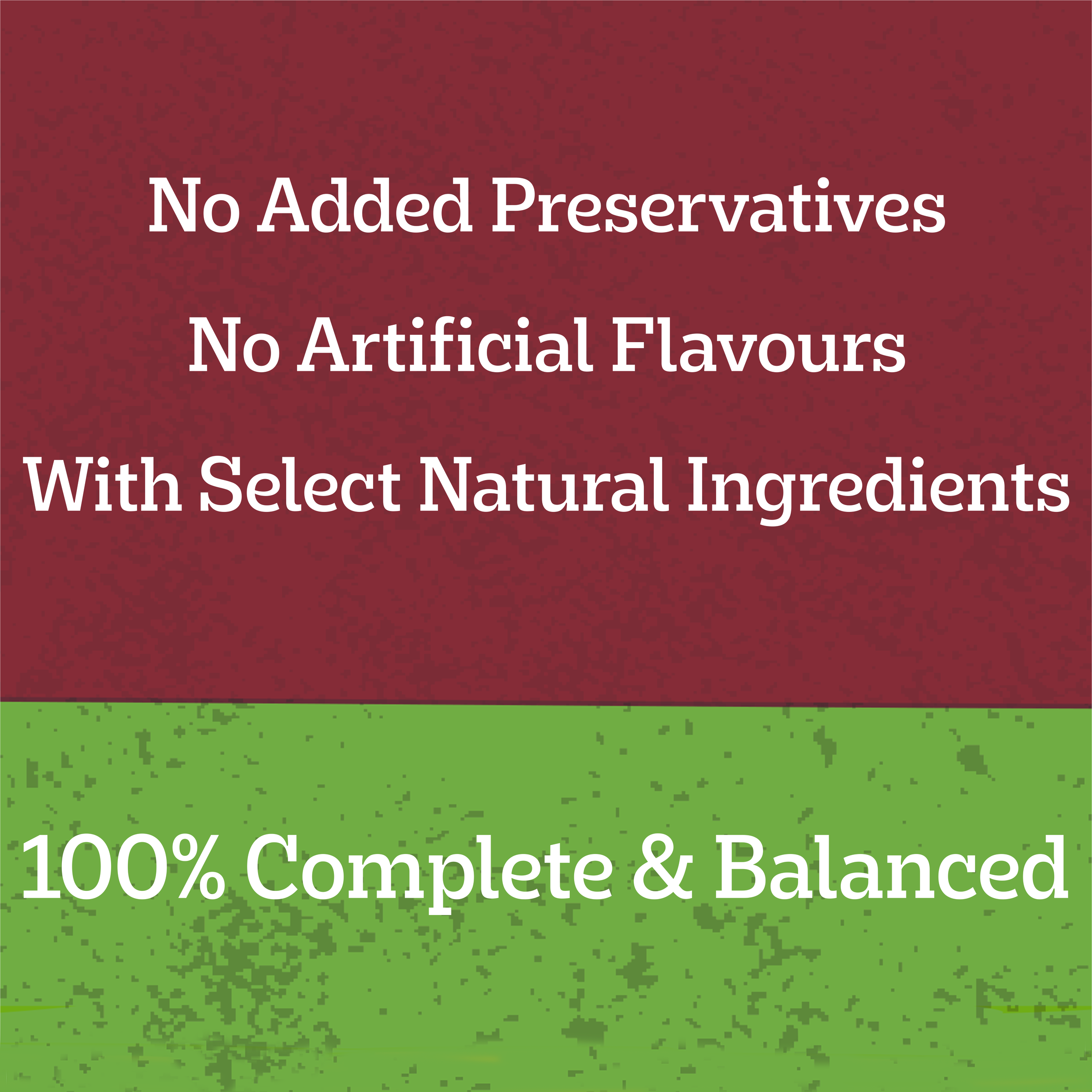 Adult Wet Dog Food Beef Vegies Gravy Casserole