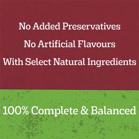 Adult Wet Dog Food Beef Vegies Gravy Casserole